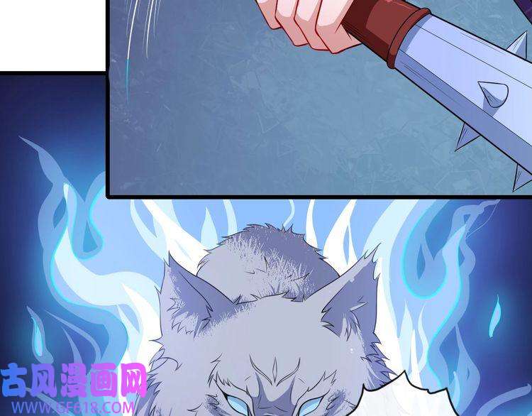 魔尊奶爸第44话 大白狗vs小黑猫