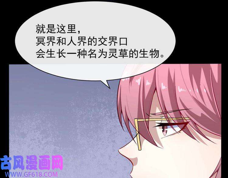 魔尊奶爸第51话 交界世界