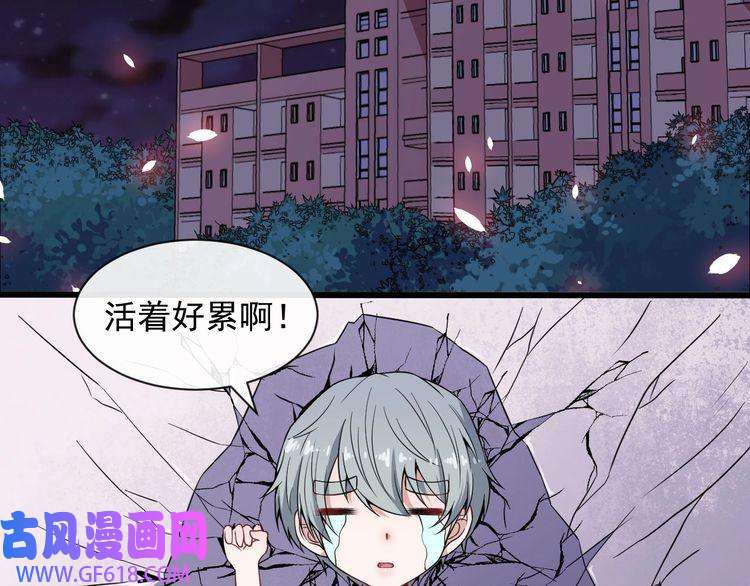 魔尊奶爸番外 小白的人气之争