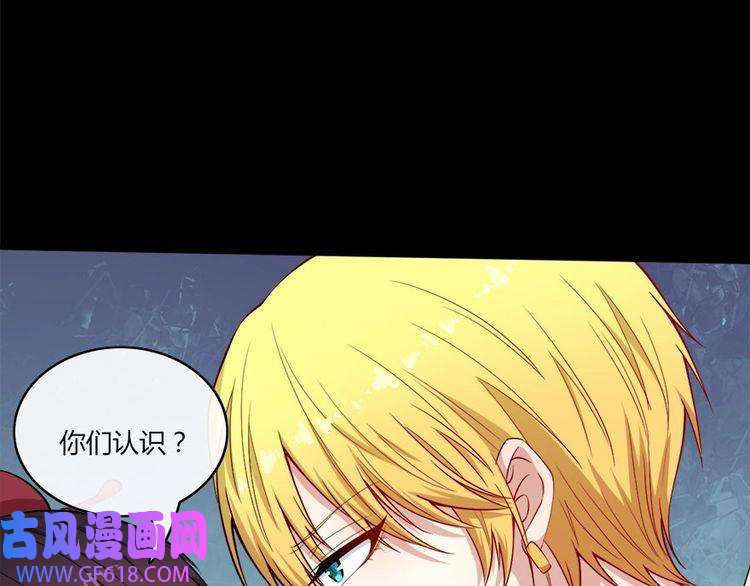 魔尊奶爸第102话 朱雀金乌