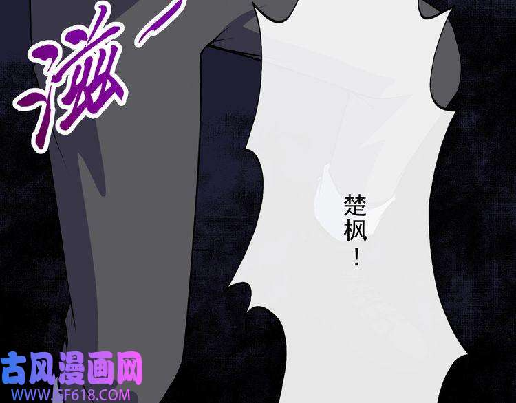 魔尊奶爸第139话 领域