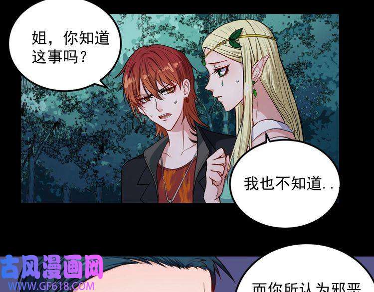 魔尊奶爸第141话 天外人