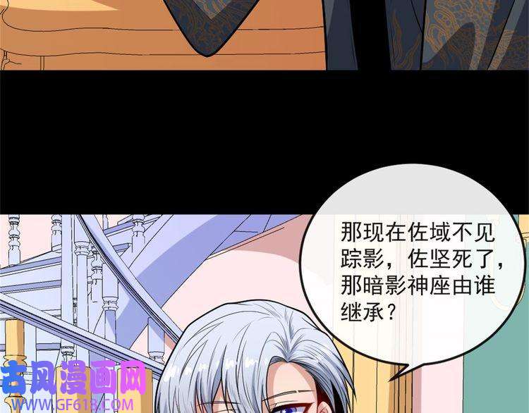 魔尊奶爸第144话 暗影覆灭