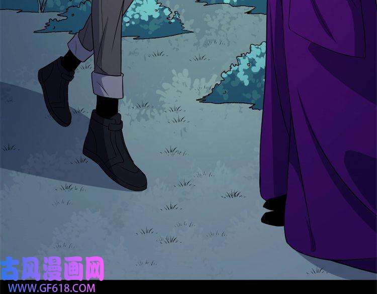 魔尊奶爸第144话 暗影覆灭