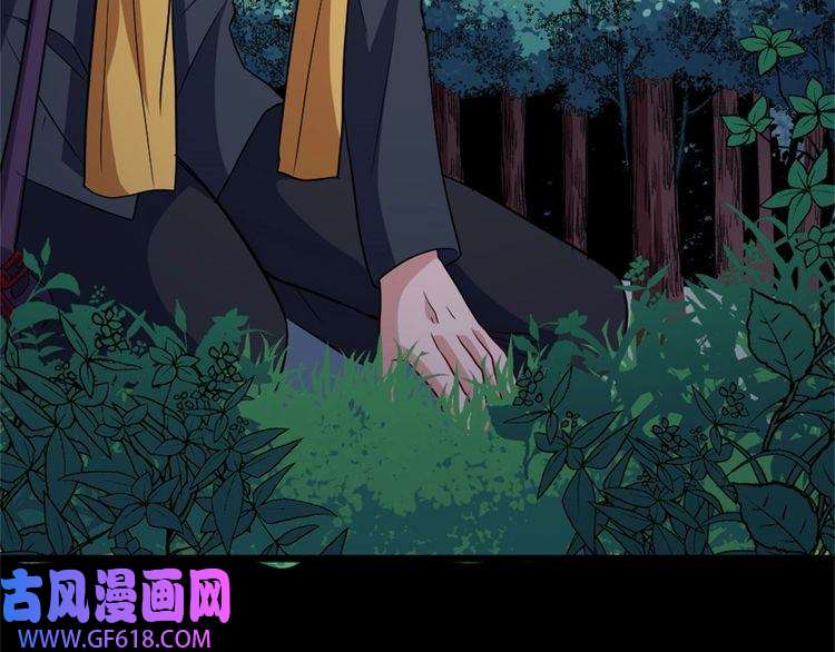 魔尊奶爸第144话 暗影覆灭