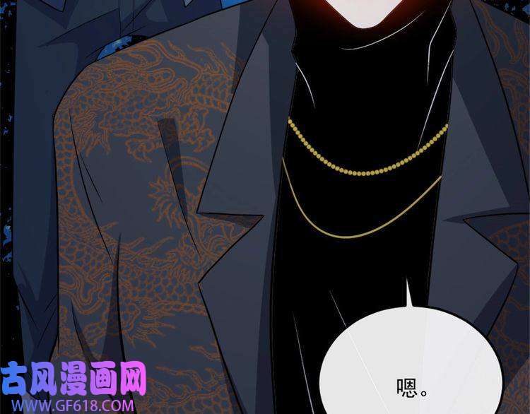 魔尊奶爸第144话 暗影覆灭