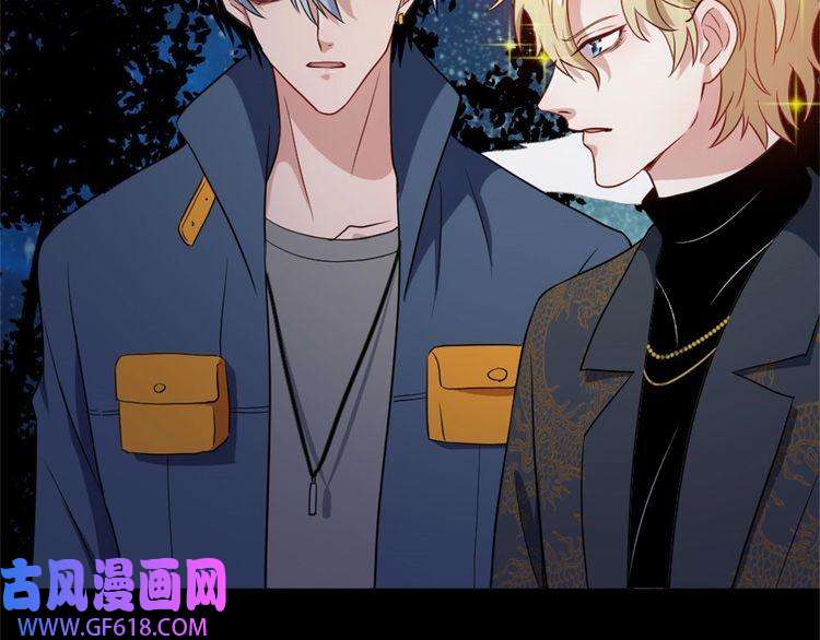 魔尊奶爸第144话 暗影覆灭