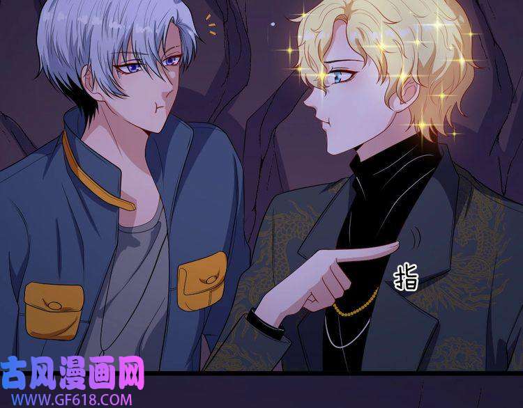 魔尊奶爸第150话 青铜门