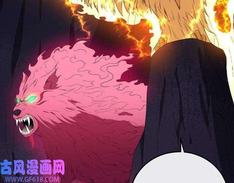 魔尊奶爸第152话 混沌