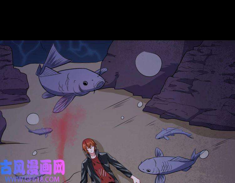 魔尊奶爸第160话 冥帝的任务