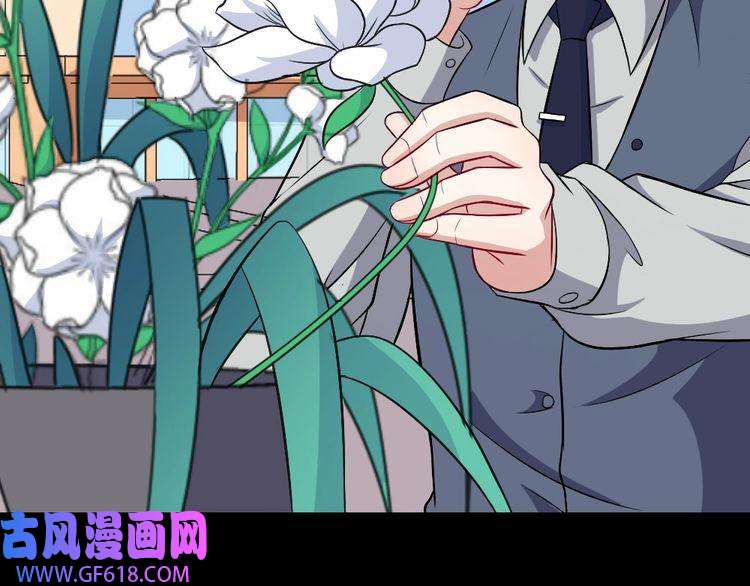 魔尊奶爸第162话 野心发芽