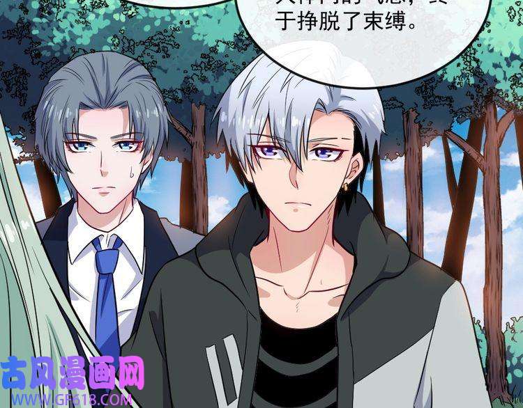 魔尊奶爸第177话 拯救夜辰