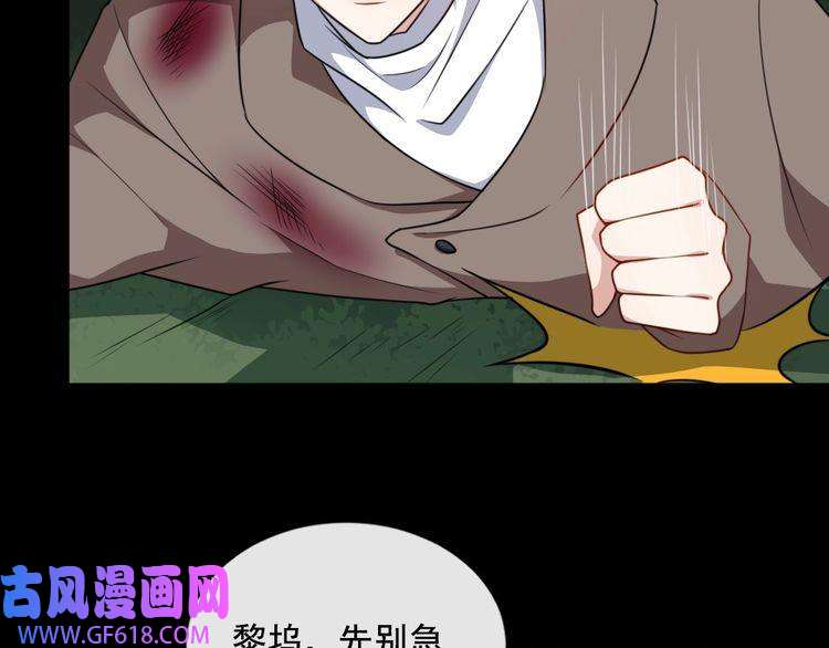 魔尊奶爸第191话 底牌