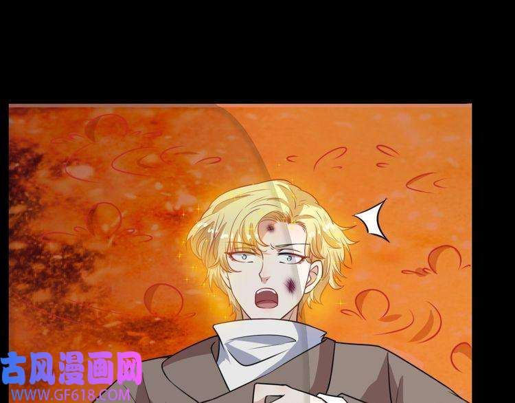 魔尊奶爸第197话 坠落火海