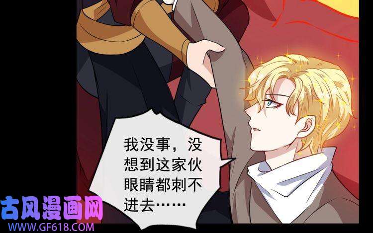 魔尊奶爸第197话 坠落火海