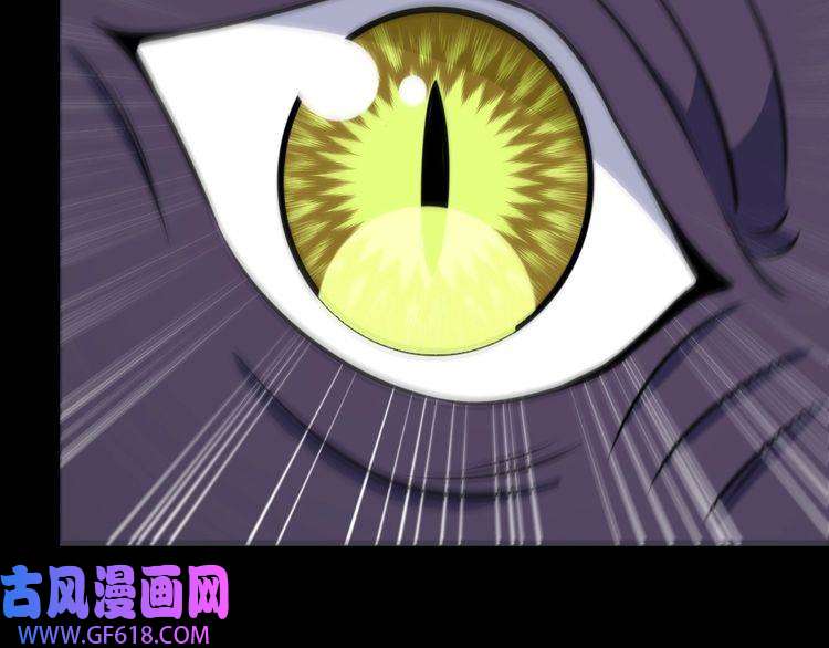 魔尊奶爸第197话 坠落火海