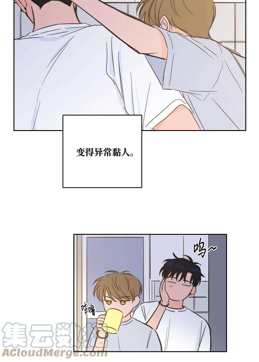 驯虎的要领61 夸夸我