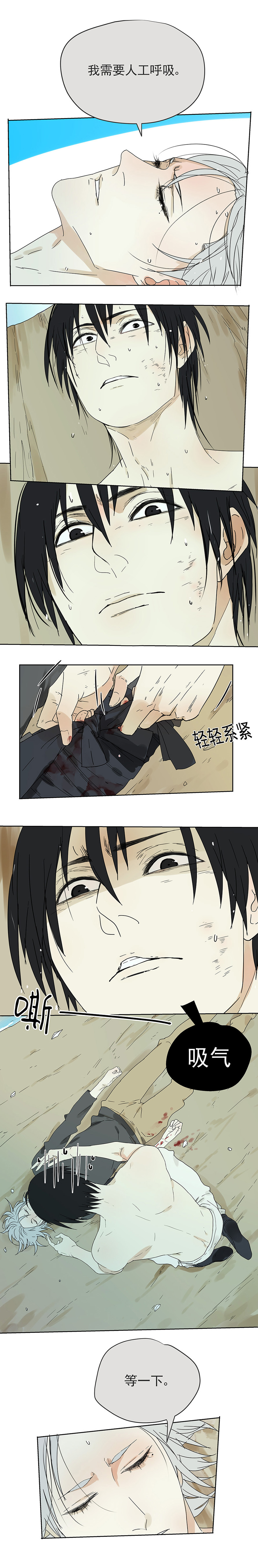 My Director14集：直男勿“吻”