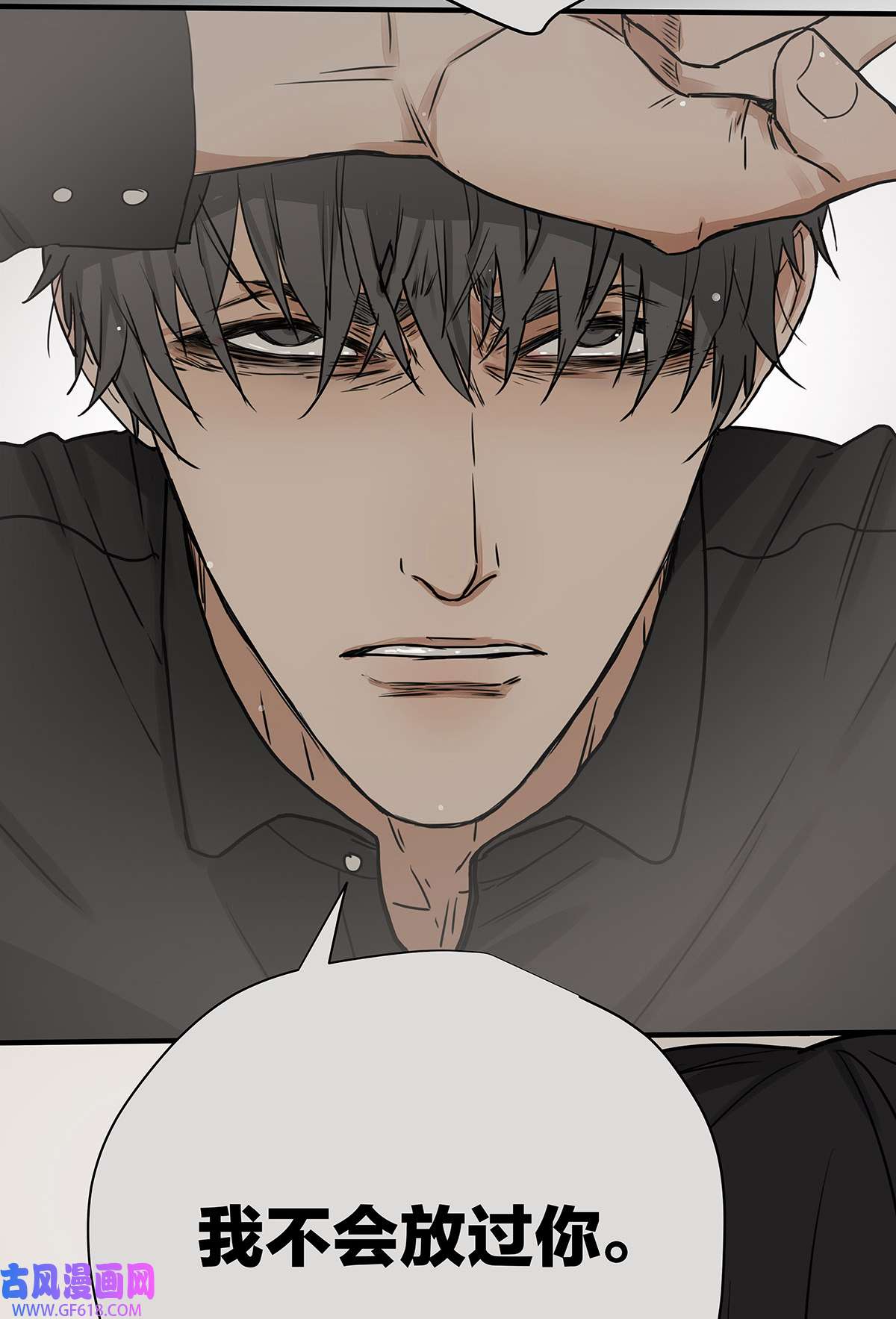 My Director033 在爱情与爱情之间