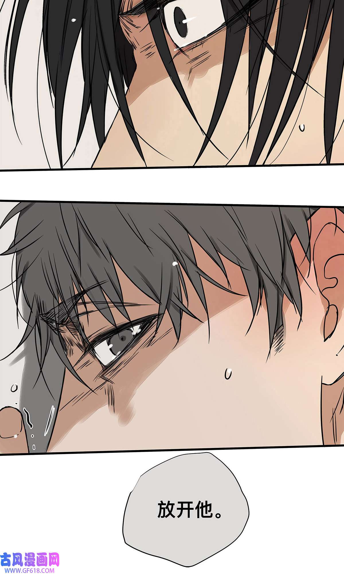 My Director033 在爱情与爱情之间