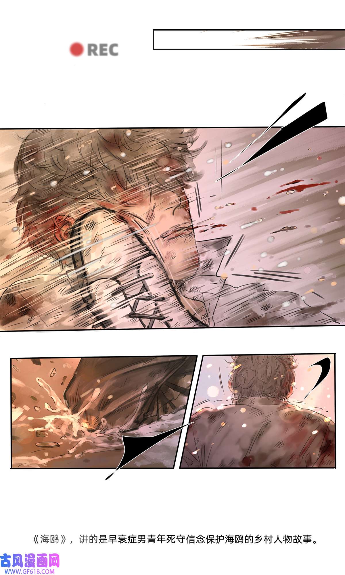 My Director040 戏终有完结之期