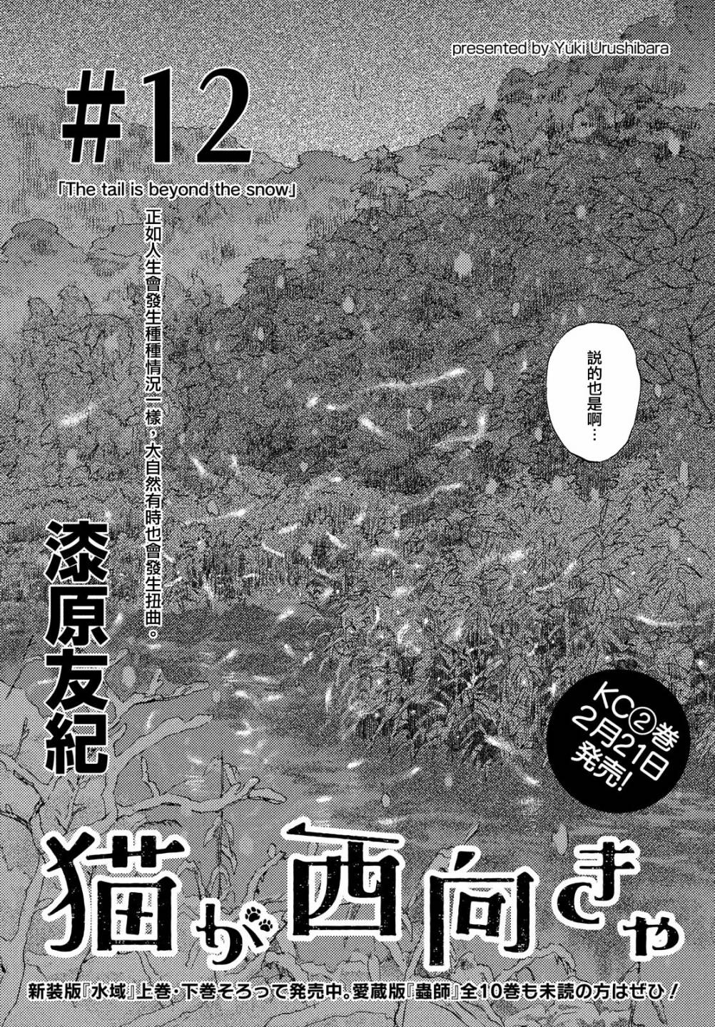 当猫面向西边时第12话