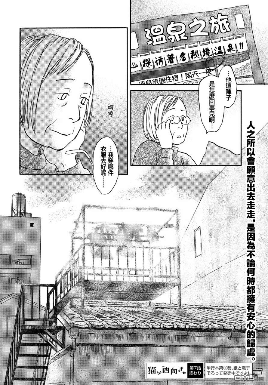 当猫面向西边时第7话