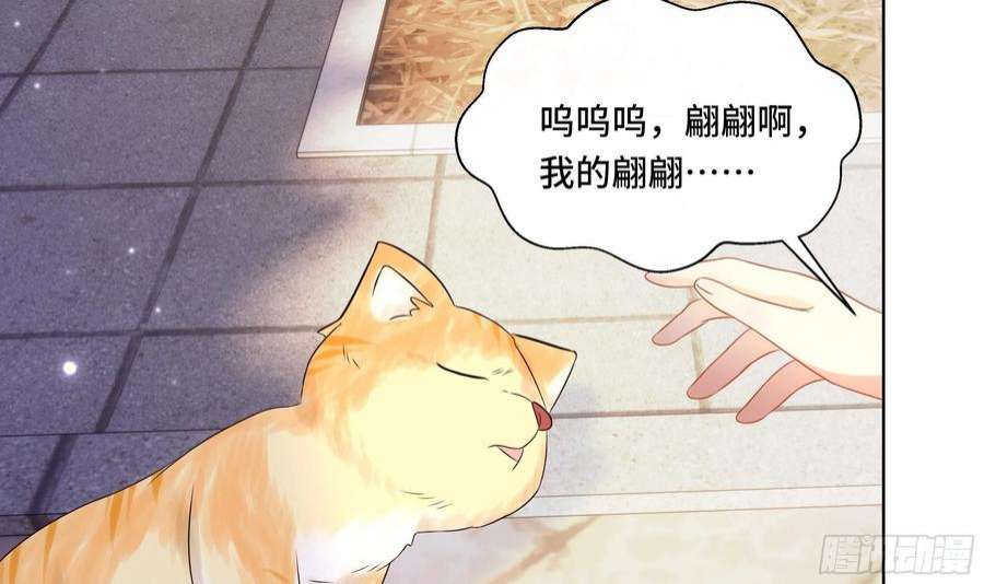 神捕大人奉命恋爱34话 是行动派！