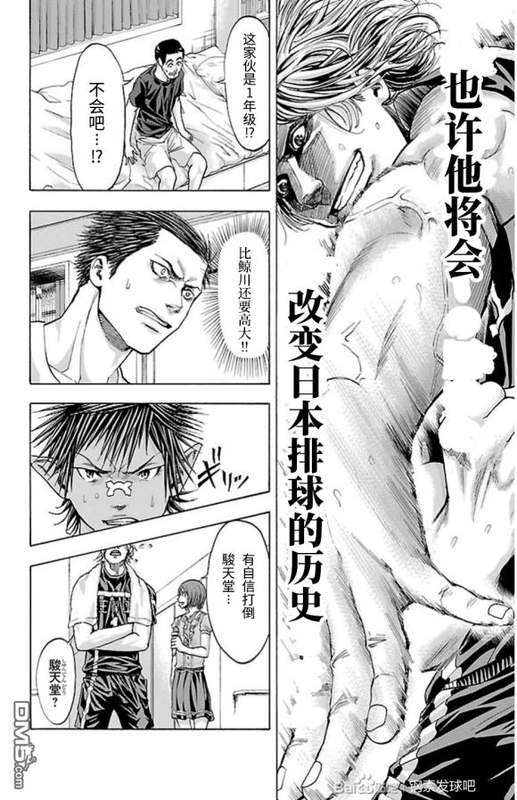 钢索发球第79话 bird strike