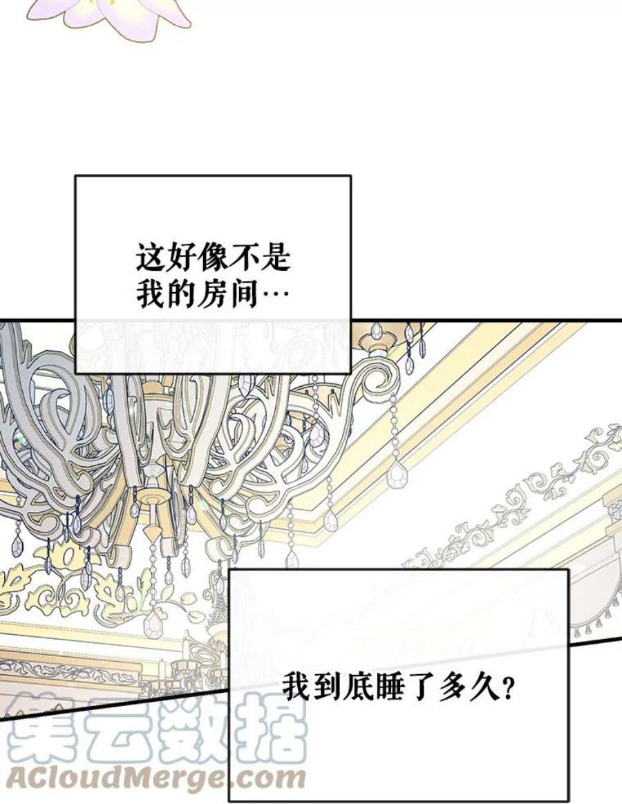 我们能成为家人吗23.斯宾塞的提议