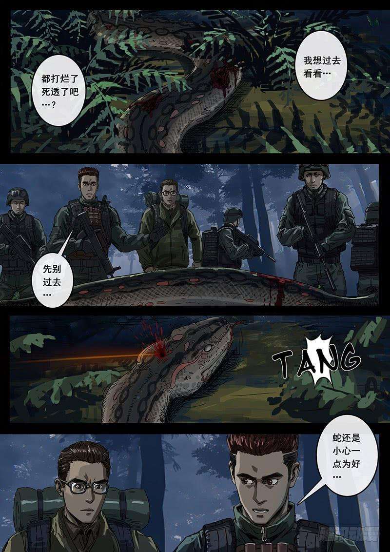 白垩纪丛林（2）