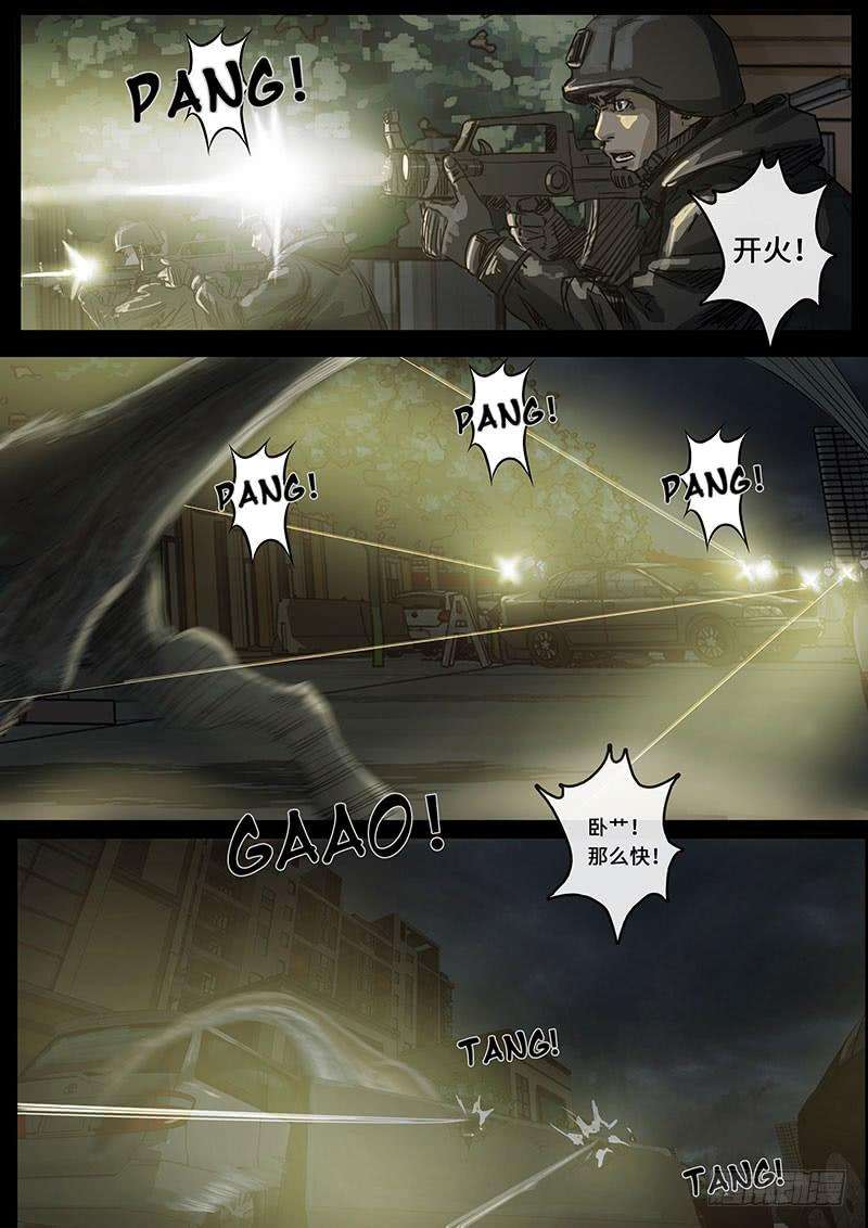 白垩纪动荡（2）