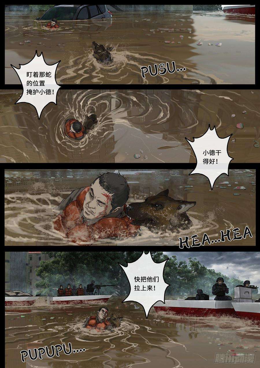 白垩纪曲折（4）