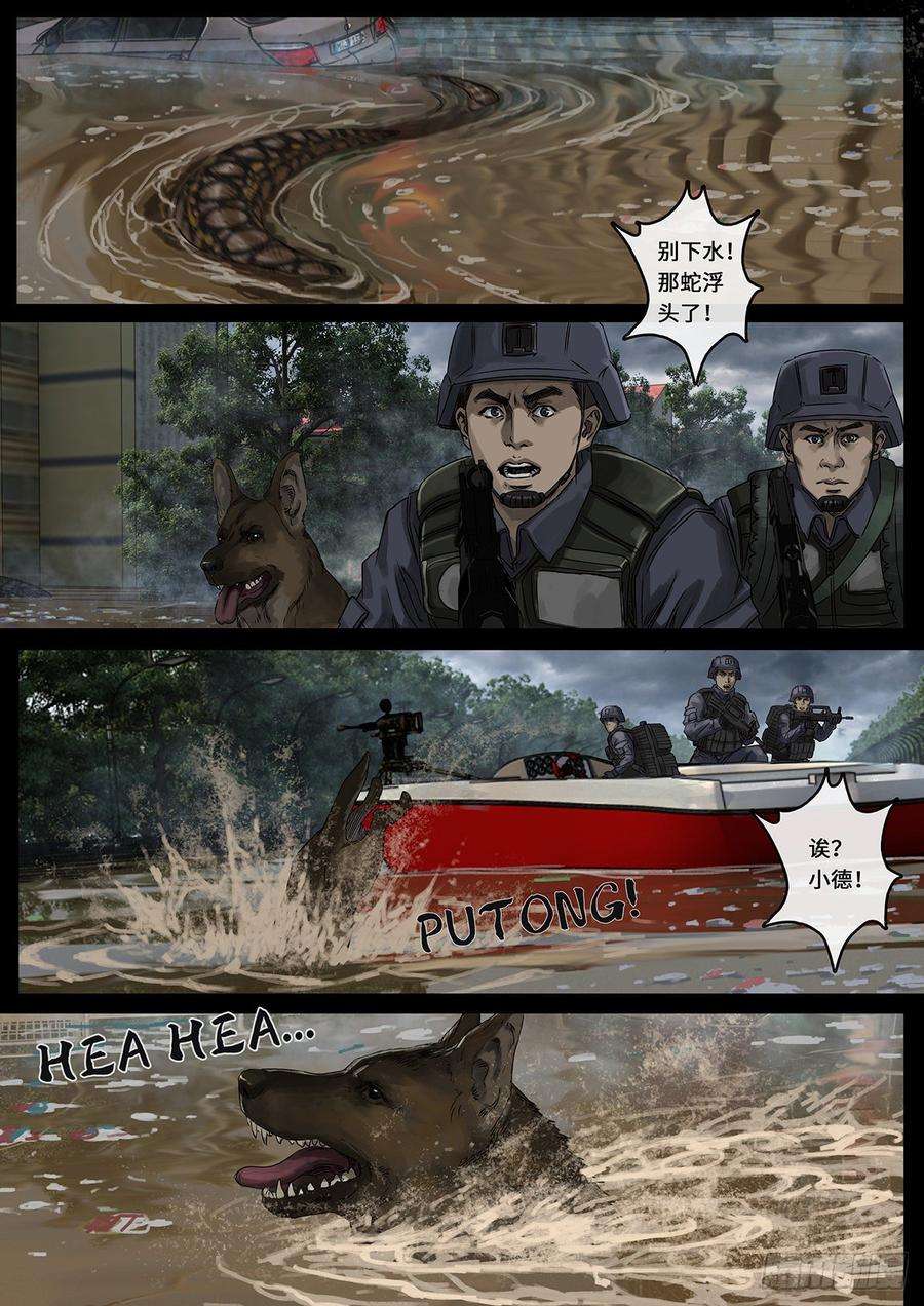 白垩纪曲折（4）