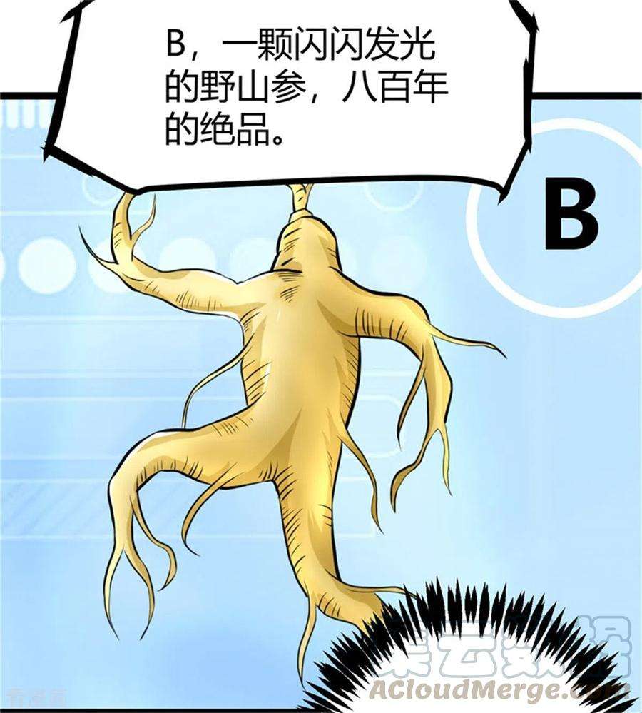 帝婿7话 补阳圣物