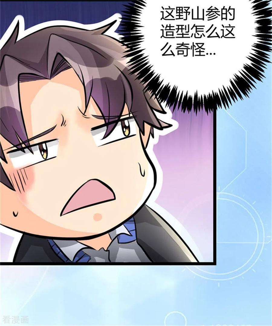 帝婿7话 补阳圣物