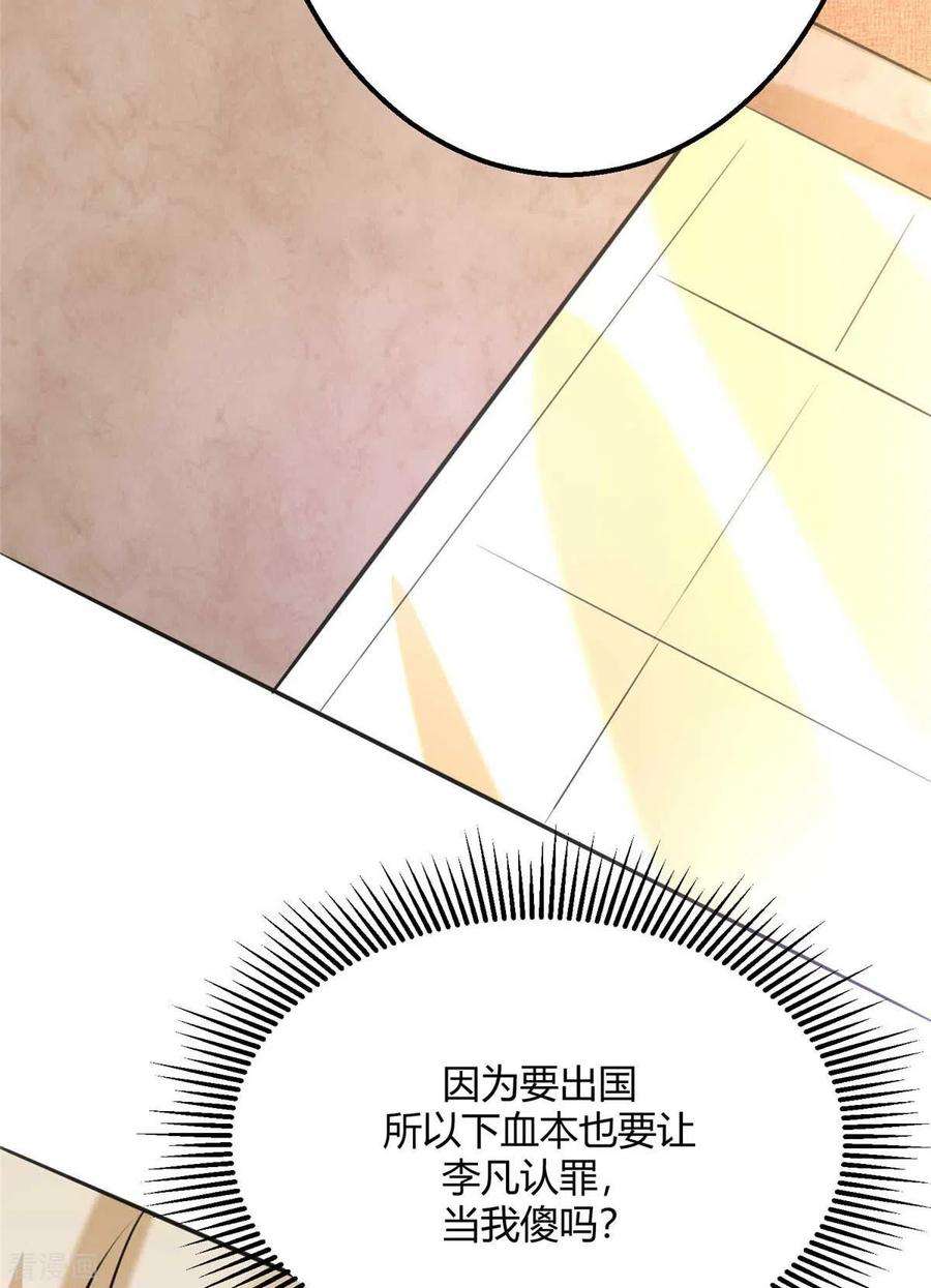 帝婿24话 安依雪，我们离婚！