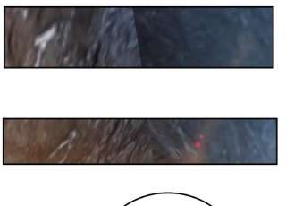 男主和后宫都是我的了40话 机会