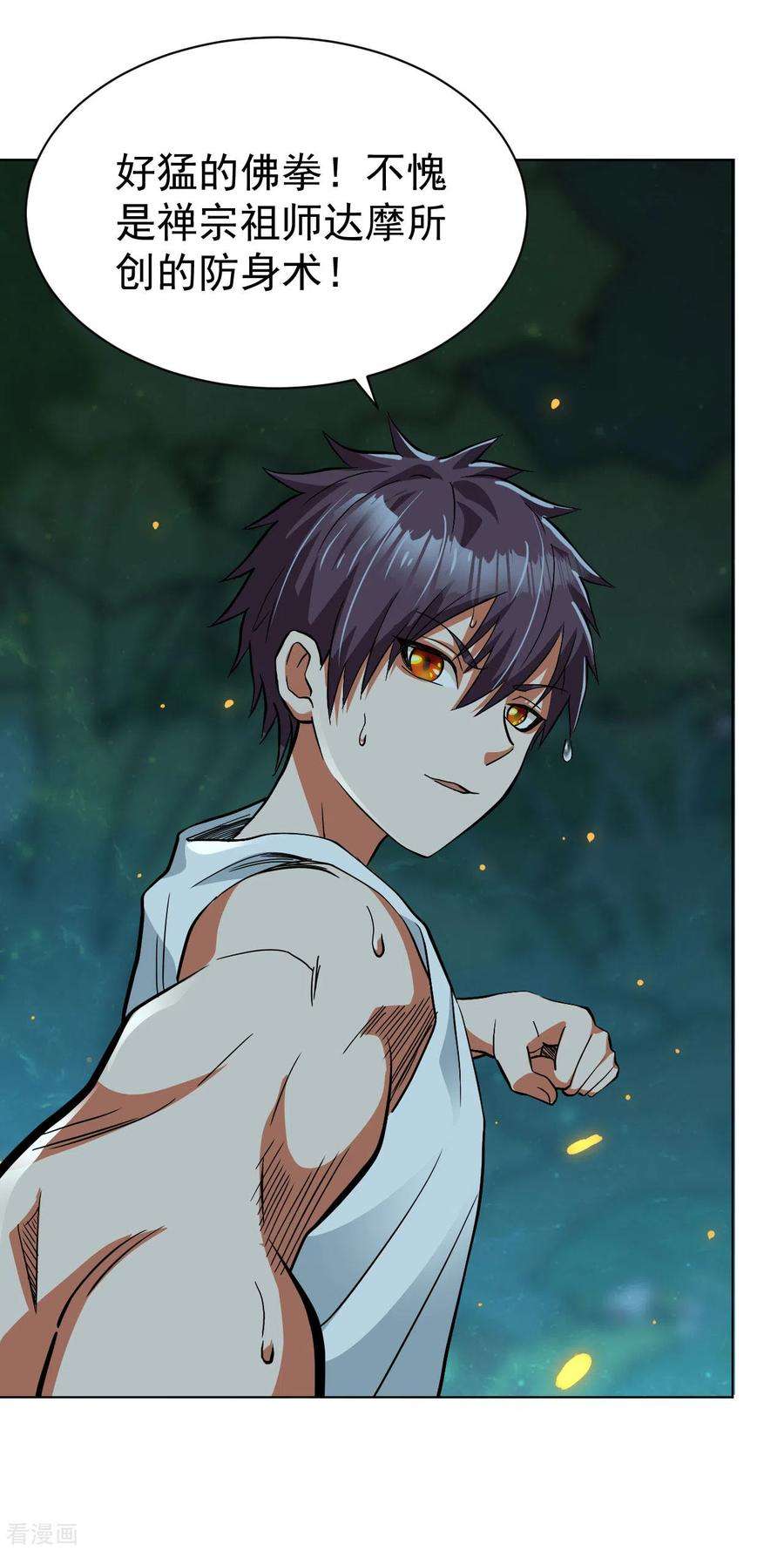 医等狂兵114话 七式佛拳