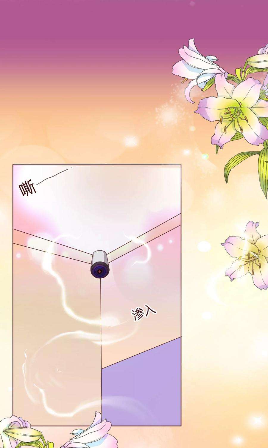 纯真总裁宠萌妻1话 电梯