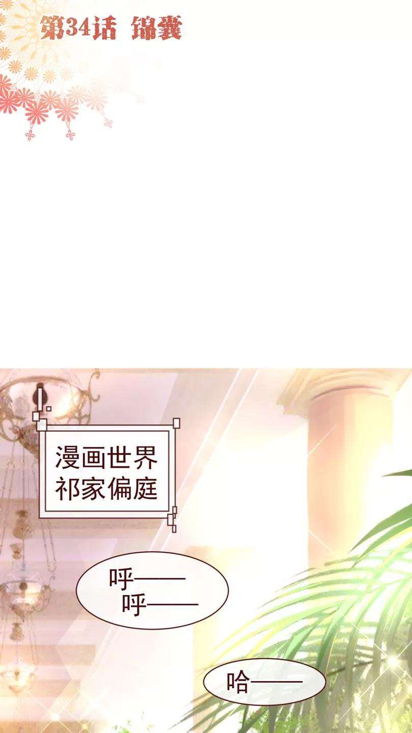 纯真总裁宠萌妻34话 锦囊