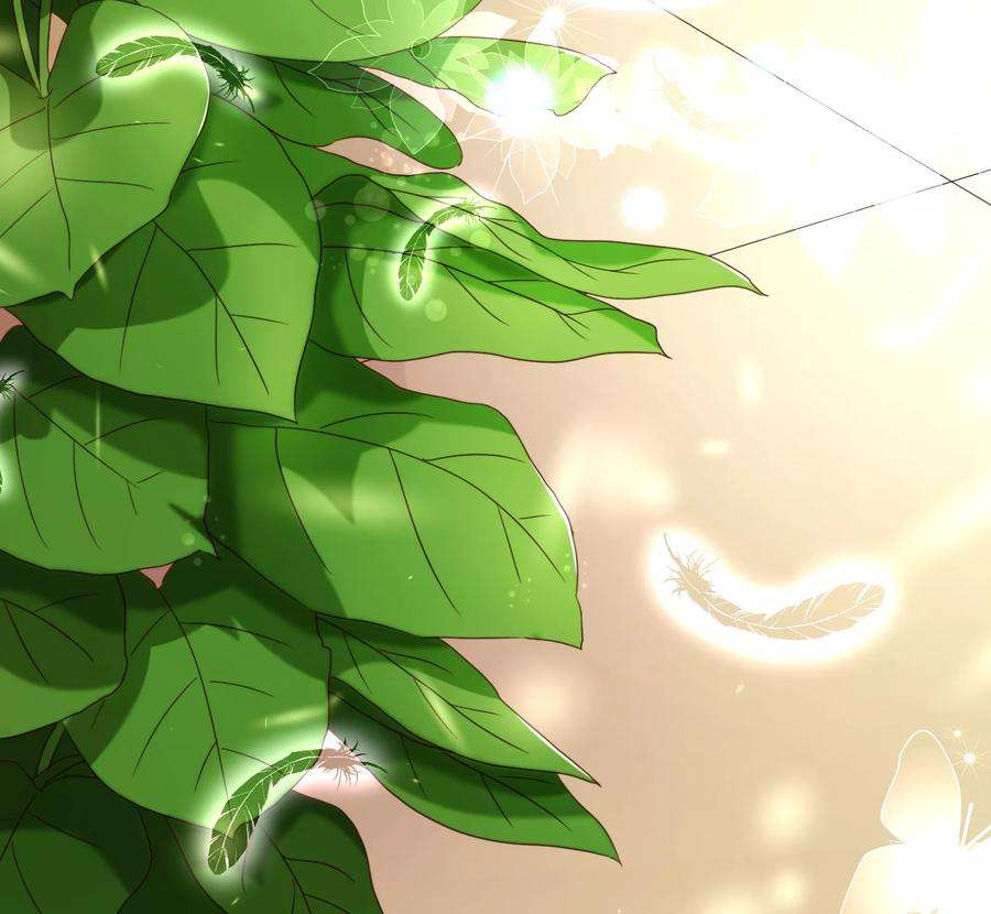 纯真总裁宠萌妻49话 决心