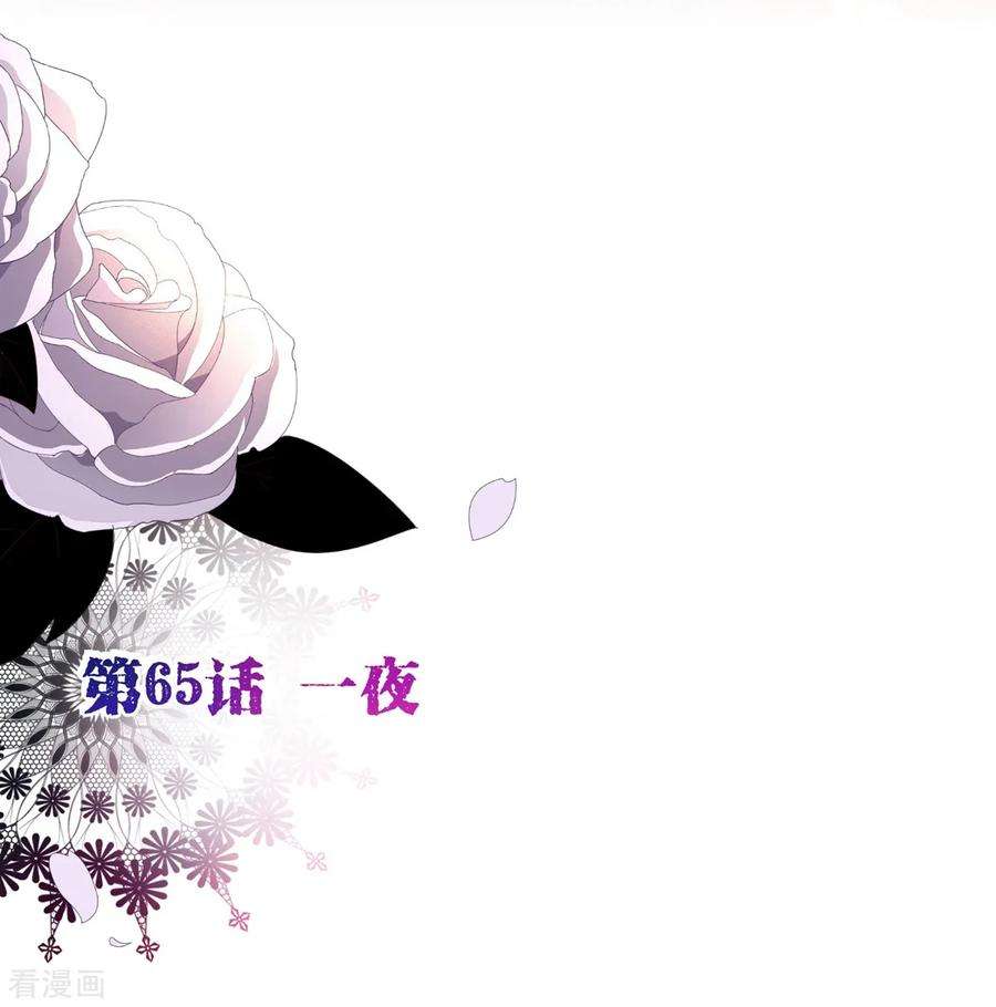 纯真总裁宠萌妻65话 一夜