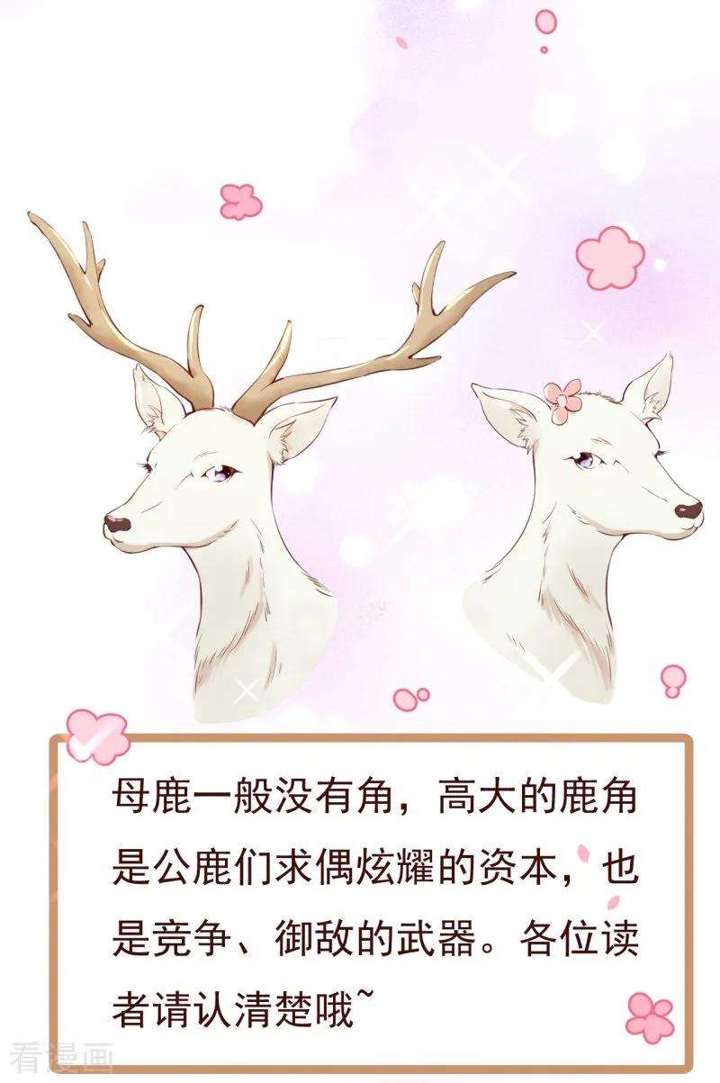 纯真总裁宠萌妻2季70话 我都心甘情愿