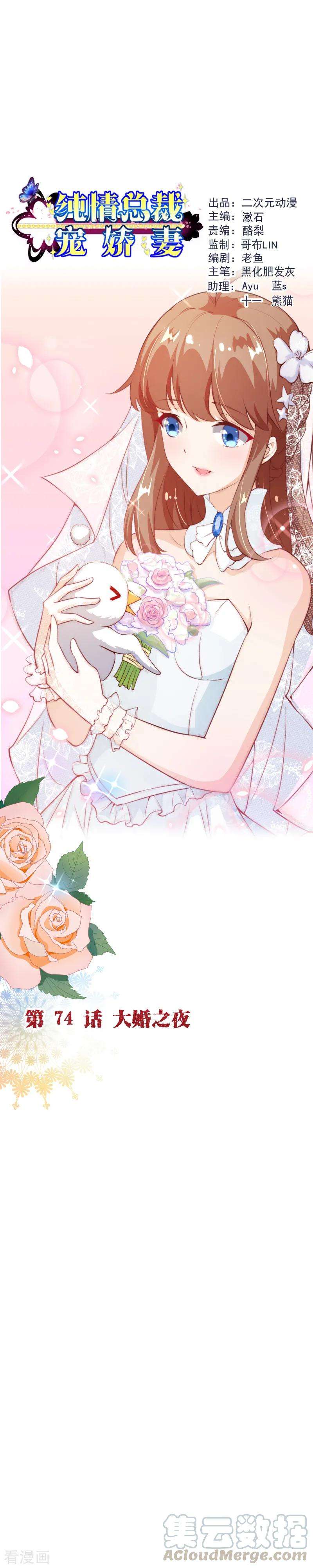 纯真总裁宠萌妻2季74话 大婚之夜