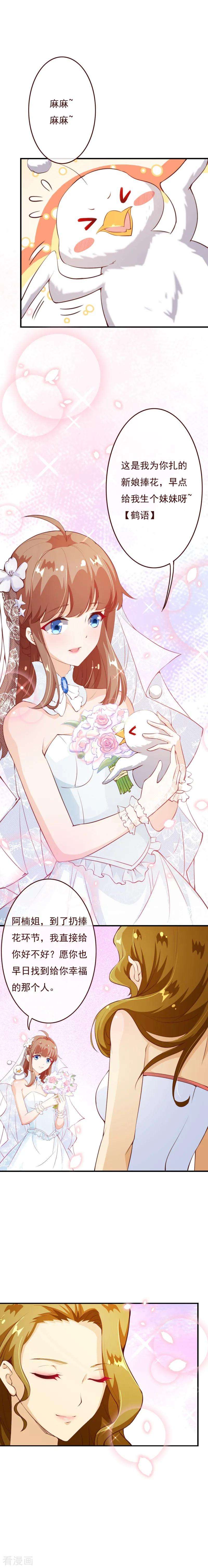 纯真总裁宠萌妻2季74话 大婚之夜