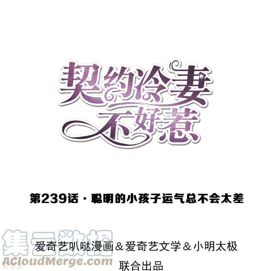 契约冷妻不好惹239话 聪明的小孩子运气总不会太差