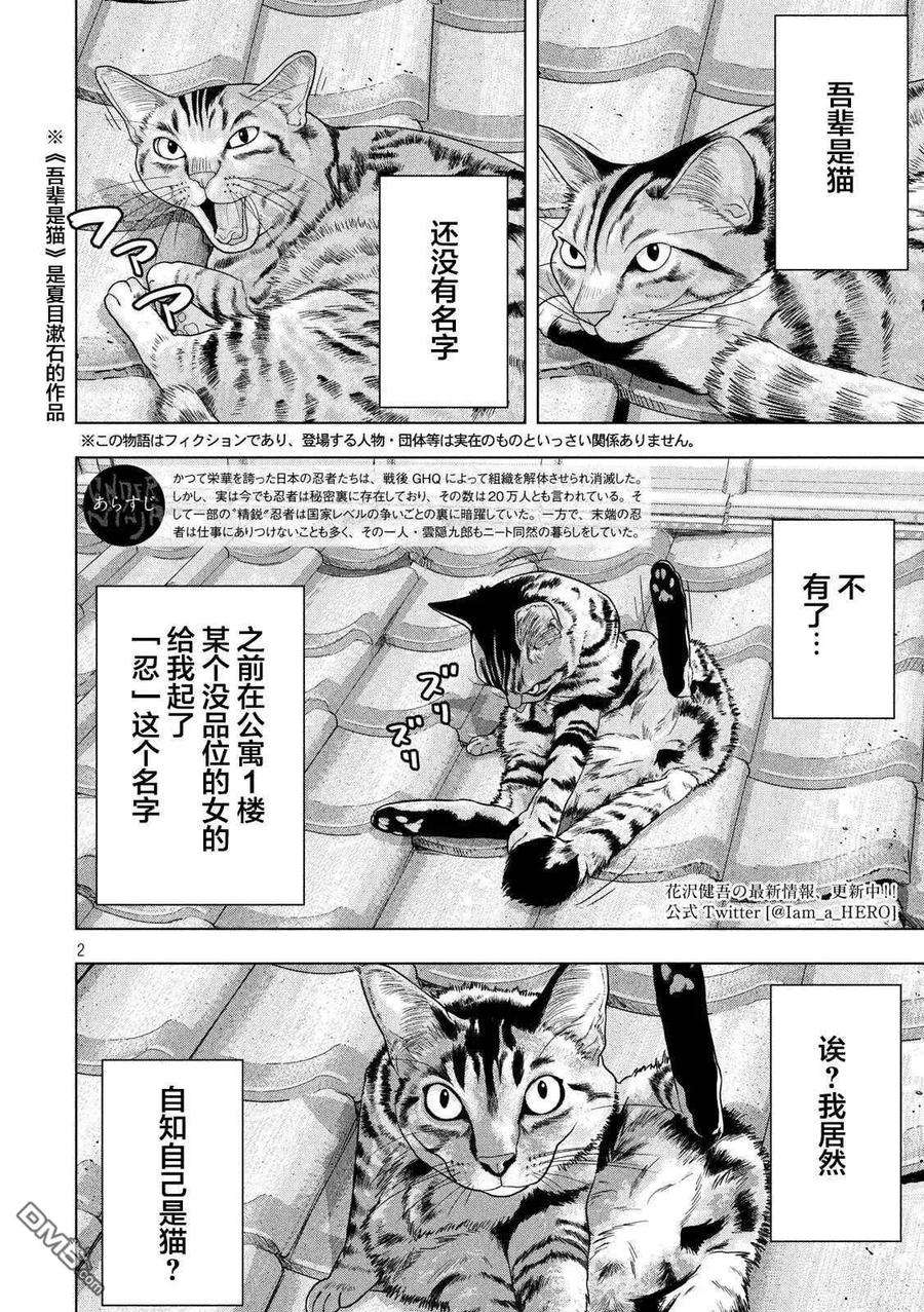 地下忍者41话 吾辈居然是猫？