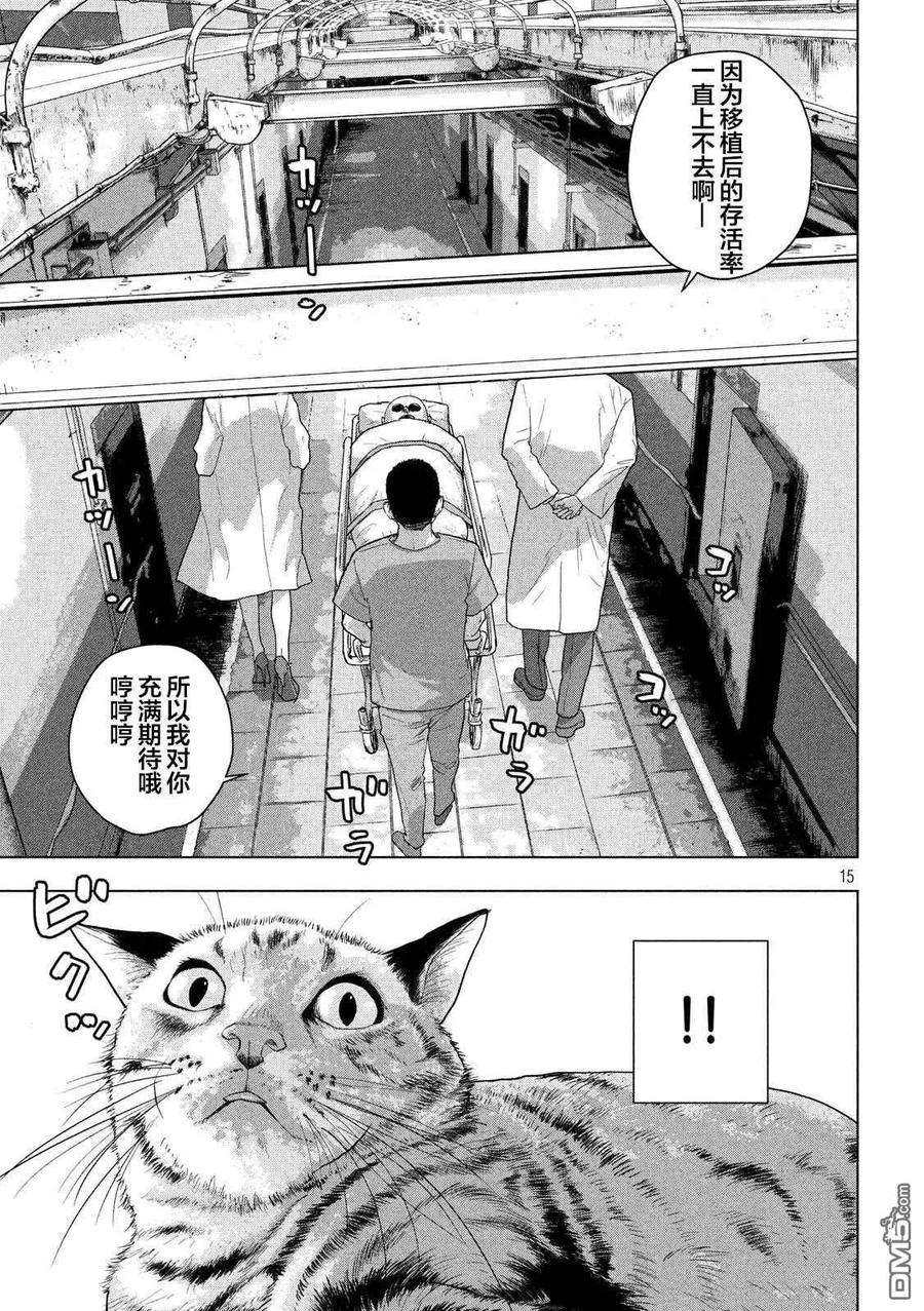 地下忍者41话 吾辈居然是猫？