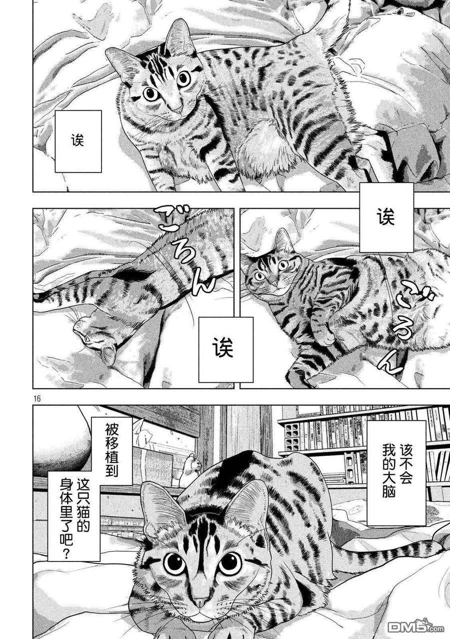 地下忍者41话 吾辈居然是猫？